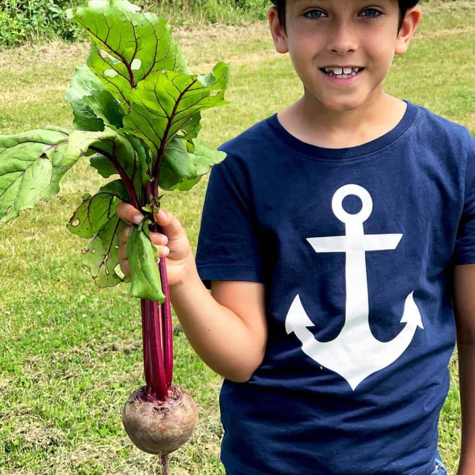 Pick your own beetroot