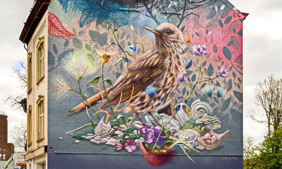 “Song Thrush” de Collin Van Der Sluijs e Jorn Gruijters 1 Song Thrush