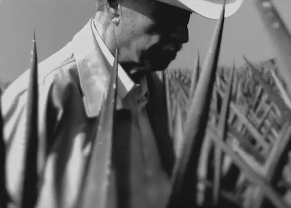 Don Julio, the man behind Don Julio Tequila