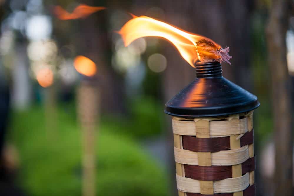 5 Ways To Add Warmth To Your Garden
