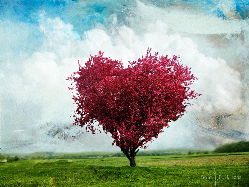 Amore e rivoluzione