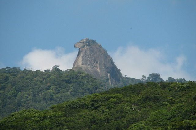 cropped-pp-1.jpg
