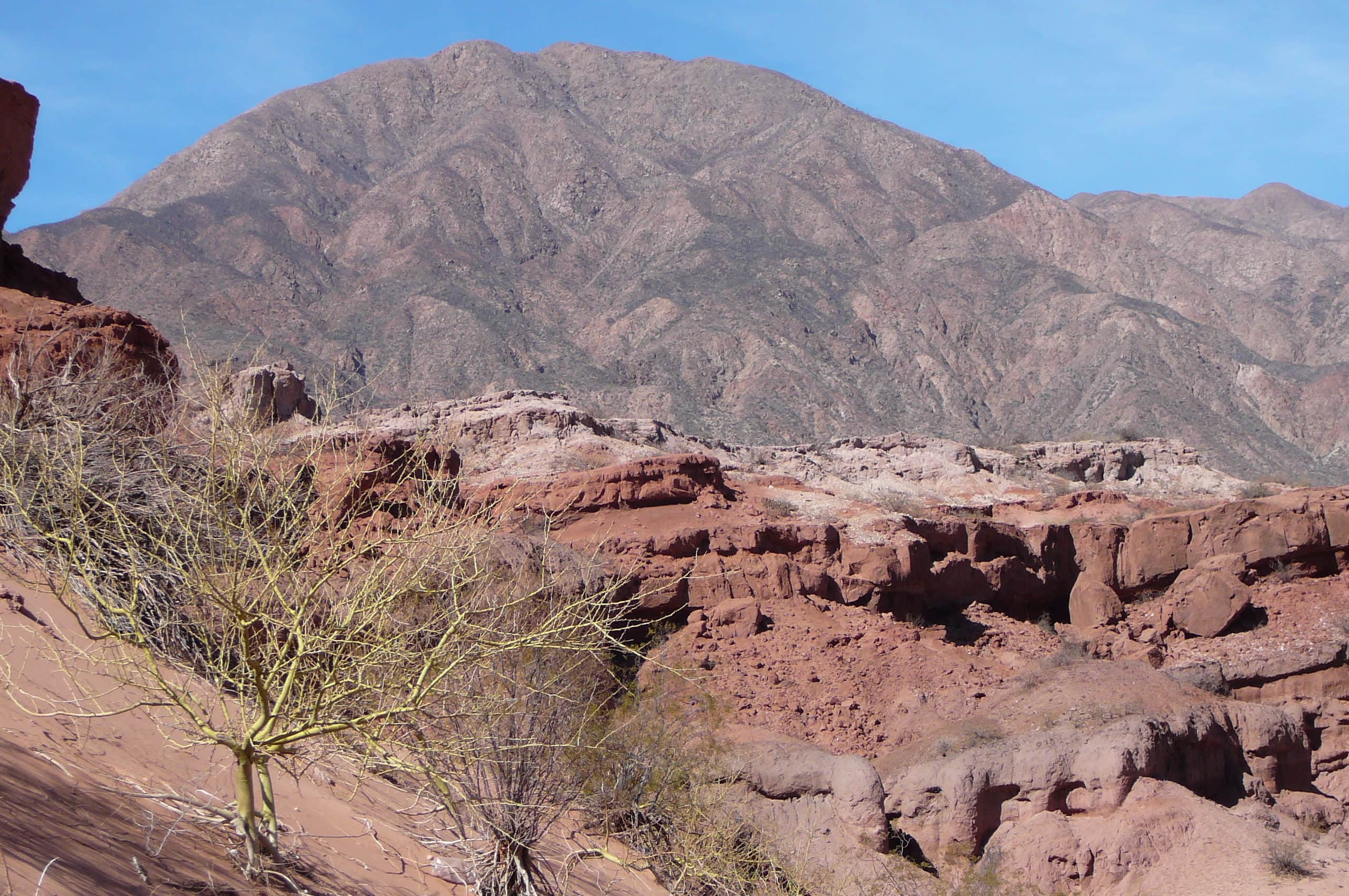 cropped-P1030520.jpg