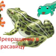 Превращение в красавицу