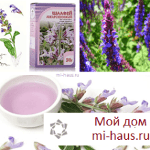 Какая польза у шалфея, применение?’