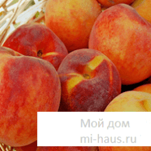 Чем полезны персики?