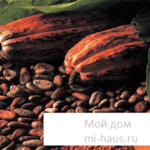 В чем польза какао?