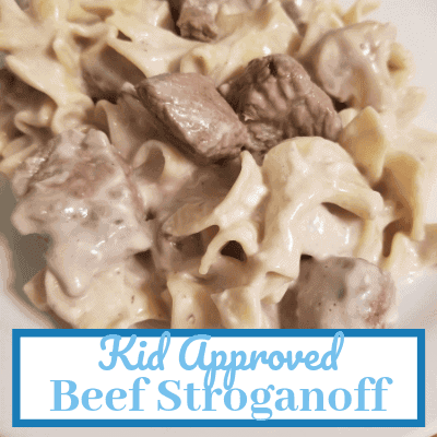 Kid approved beef stroganoff