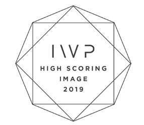 IWPOTY_2019