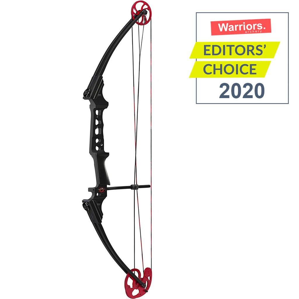 best compound bow for target shooting