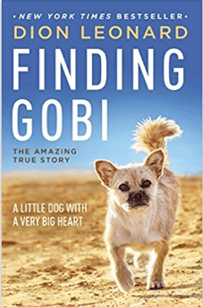 Finding Gobi, by Dion Leonard