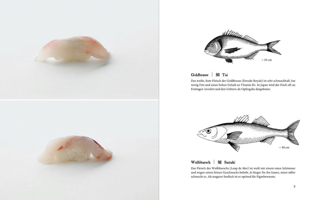 Sushi Guide München von Axel Schwab 2 sushi-guide-nigiri