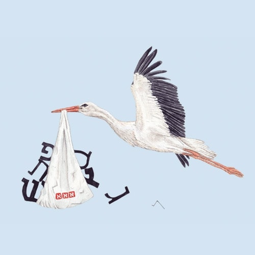 תהל מאור -