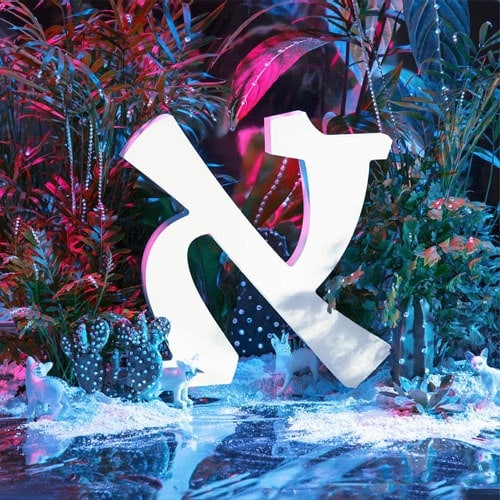 זוהר וינר - אלף בספארי (עם שירן הדי, תמוז רכמן והדס פרץ)