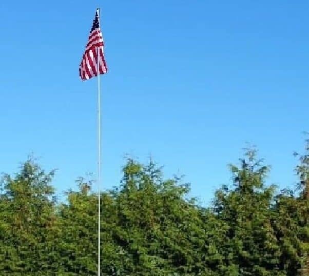 Official Home Alpha Antenna