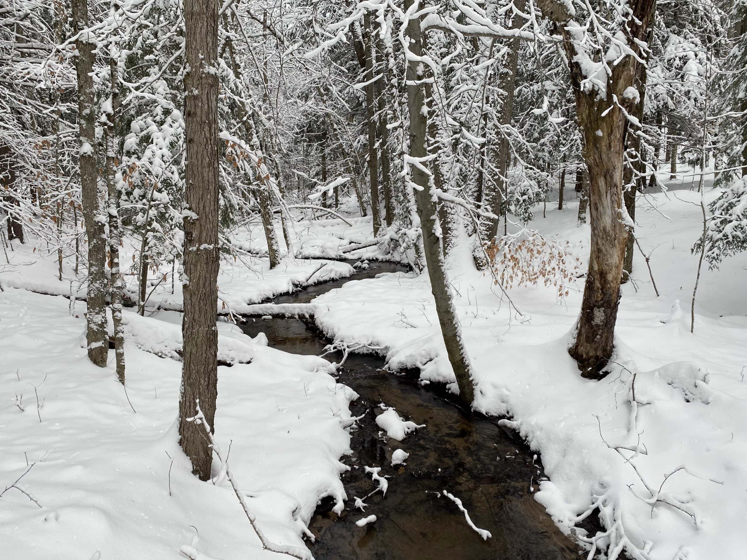 Winter at Camp Michigania