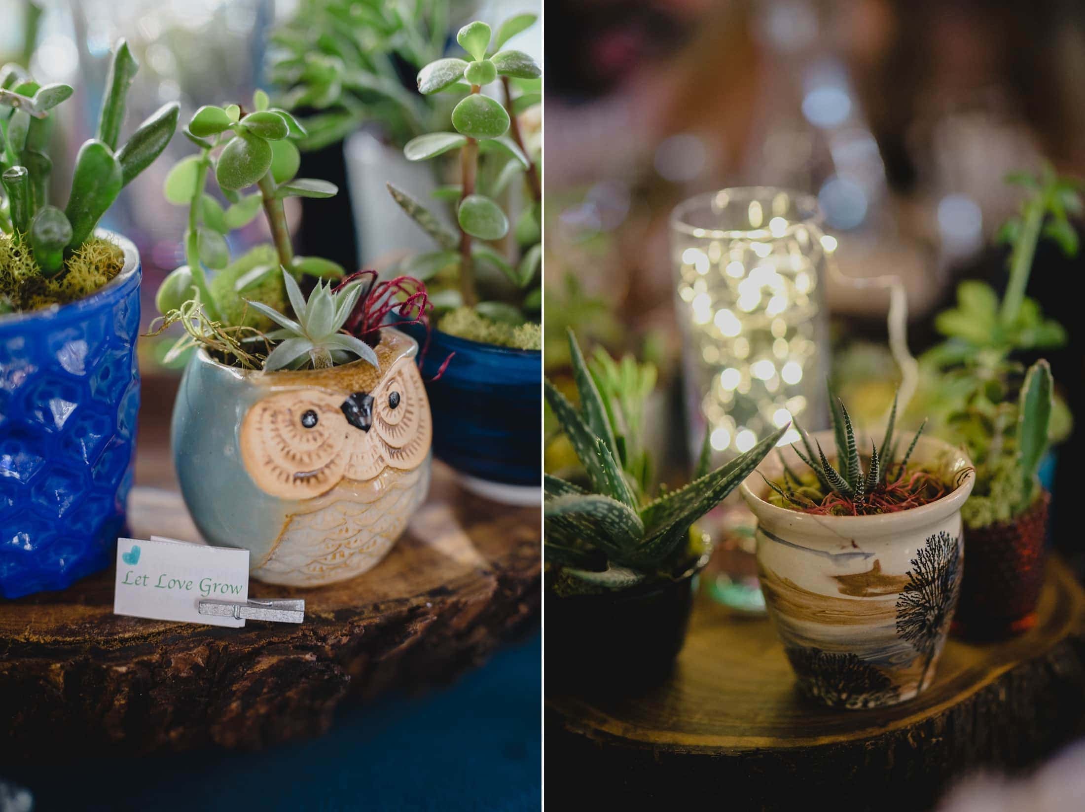dog-friendly-poco-diablo-sedona-wedding_0030
