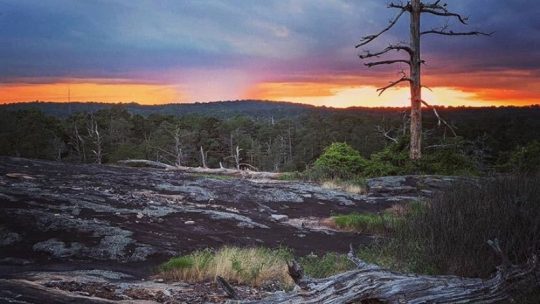 Is Arabia Mountain Open?
