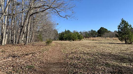 Leave No Trace at Arabia Mountain