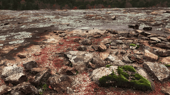It’s Photography Season at Arabia Mountain National Heritage Area!