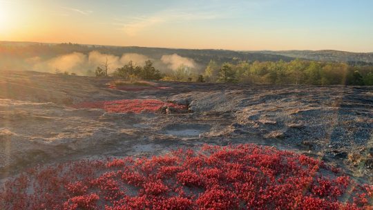 How to Hike at Arabia Mountain
