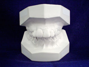 Dental Plan, который всем «по зубам»