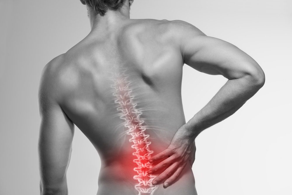 Your Spine Is In Good Hands: Infographic