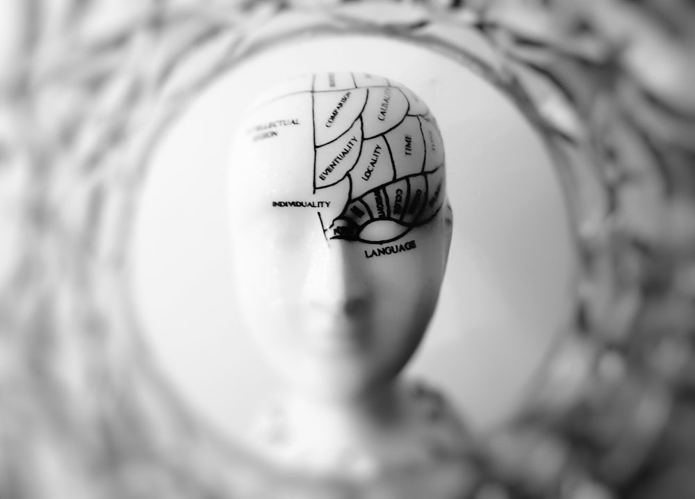 Chiropractic: Brain Octane