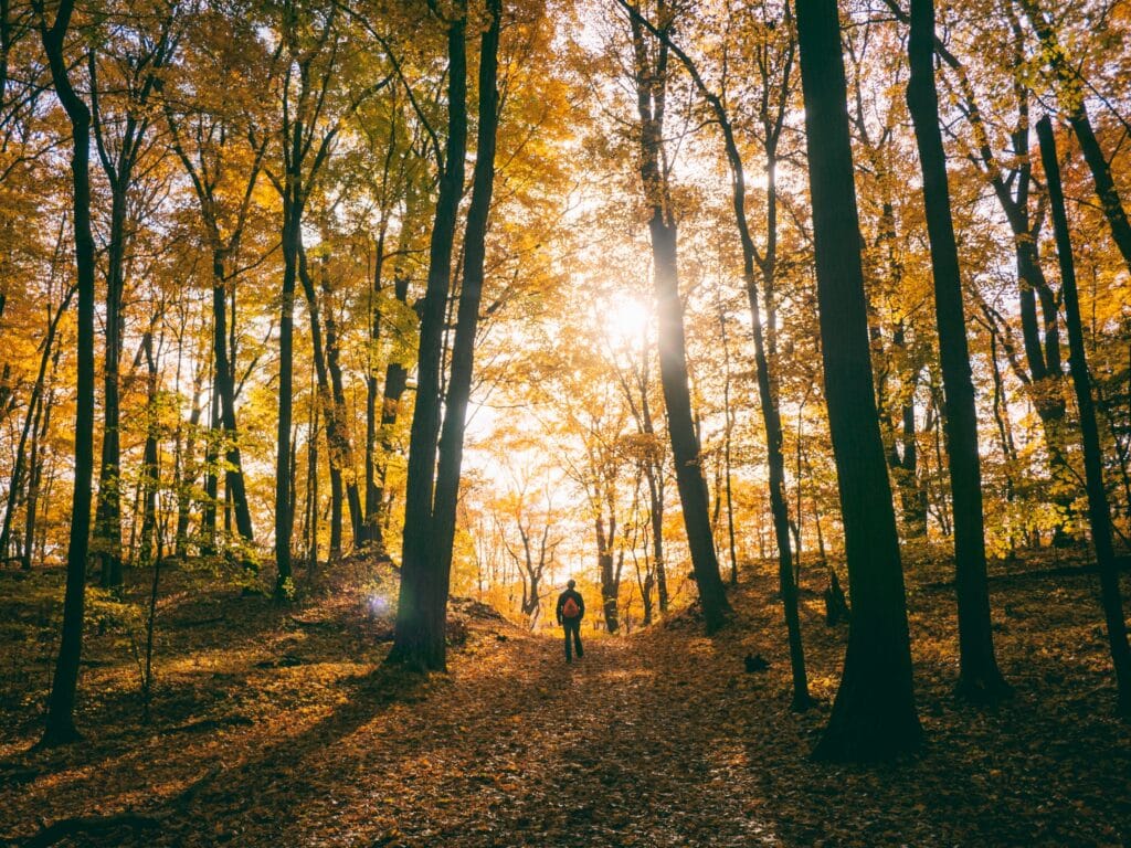 Hike Somewhere New: The Best Trails in Southeastern Wisconsin to Explore This Fall