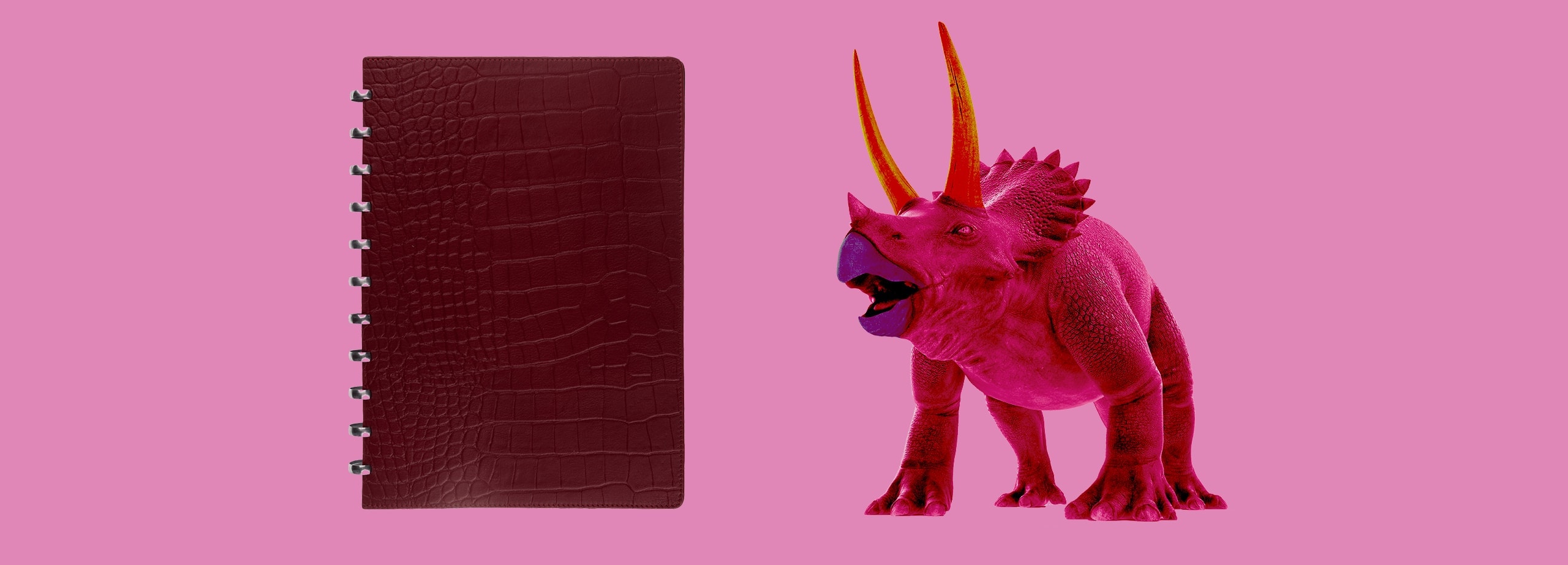 Atoma - Croco Collection