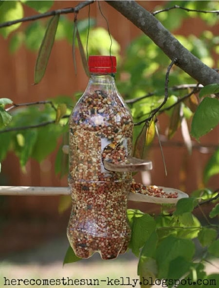 bird feeder