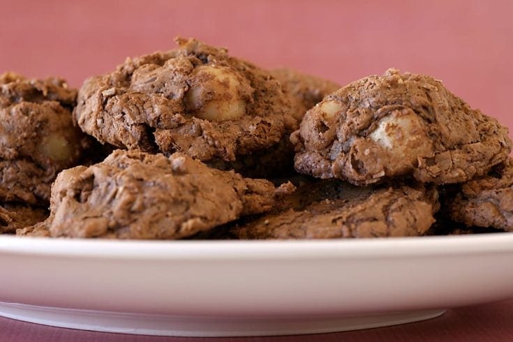 Chocolate-Macadamia Nut Clusters