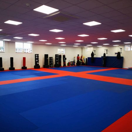 Some of our bags and pads that we use for our Karate, Kickboxing and Kung Fu classes in Basingstoke