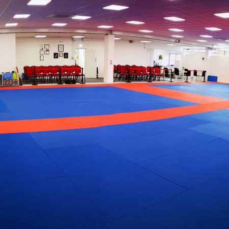 A view across the mats at our Martial Arts training hall