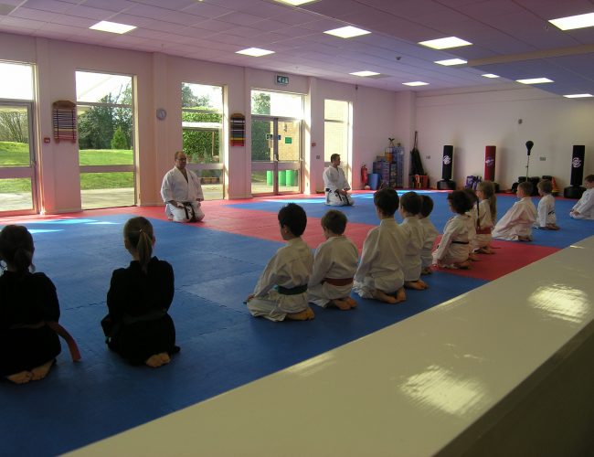 Children's Martial Arts in Basingstoke