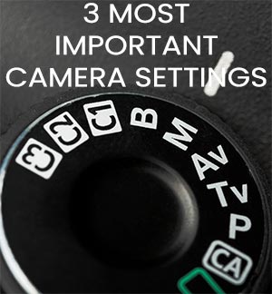 camera dial