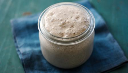 sourdough starter