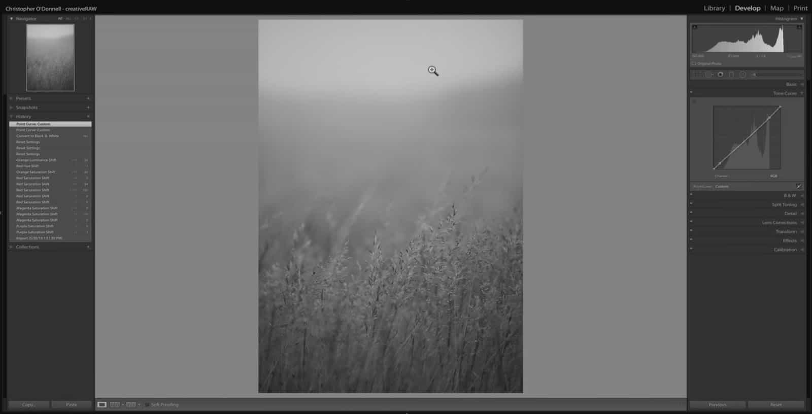 Tones in Lightroom - CreativeRAW