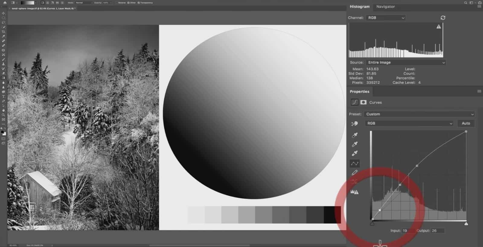 Working with Curves - CreativeRAW