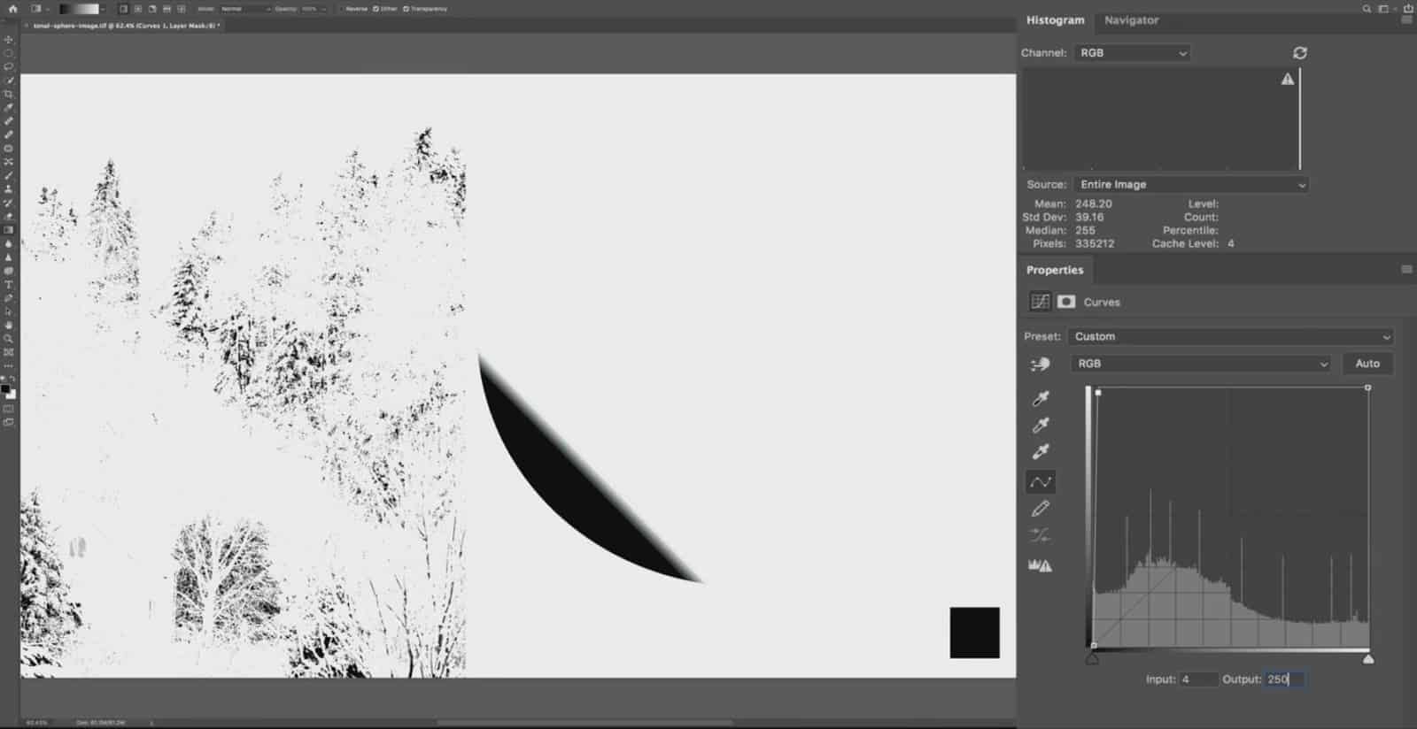 Brighten it Substantially - Photoshop