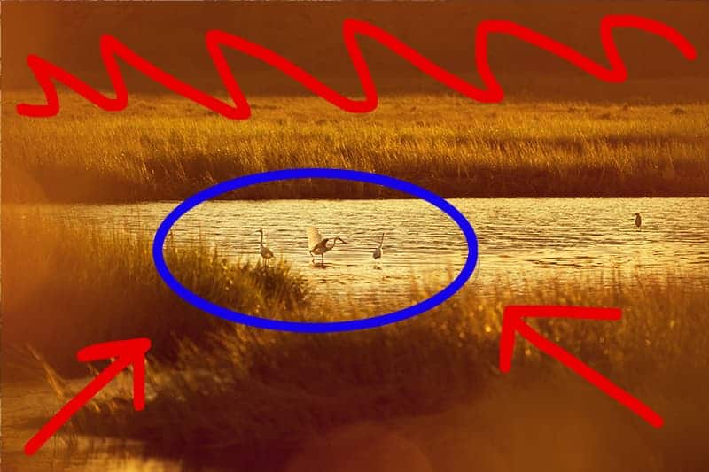 Minimize Distractions Photoshop - CreativeRAW