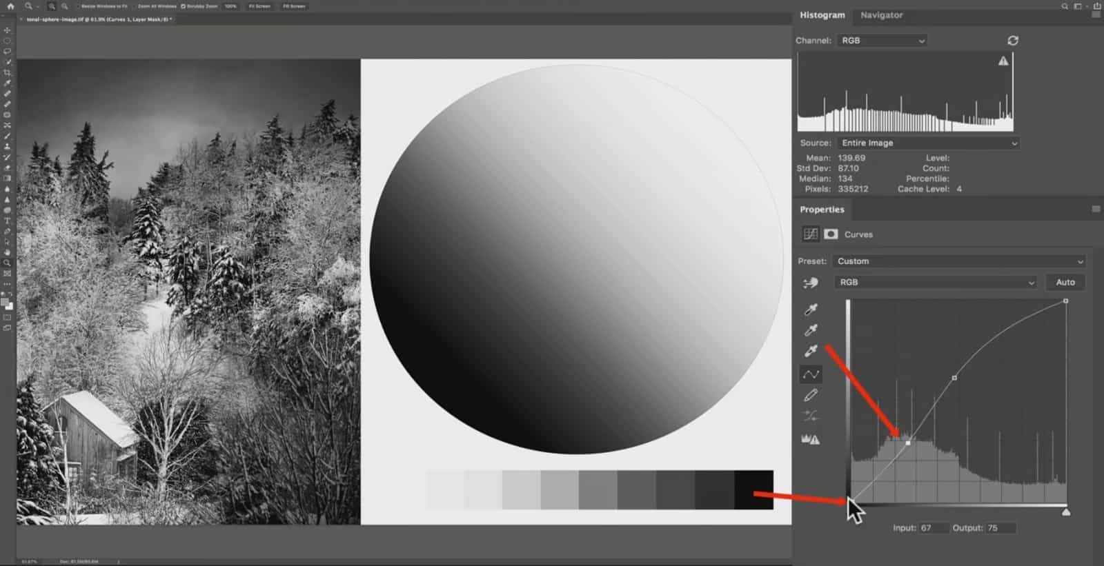 How to Work with Curves? - CreativeRAW