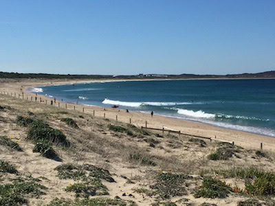 Wanda Beach Cronulla Life