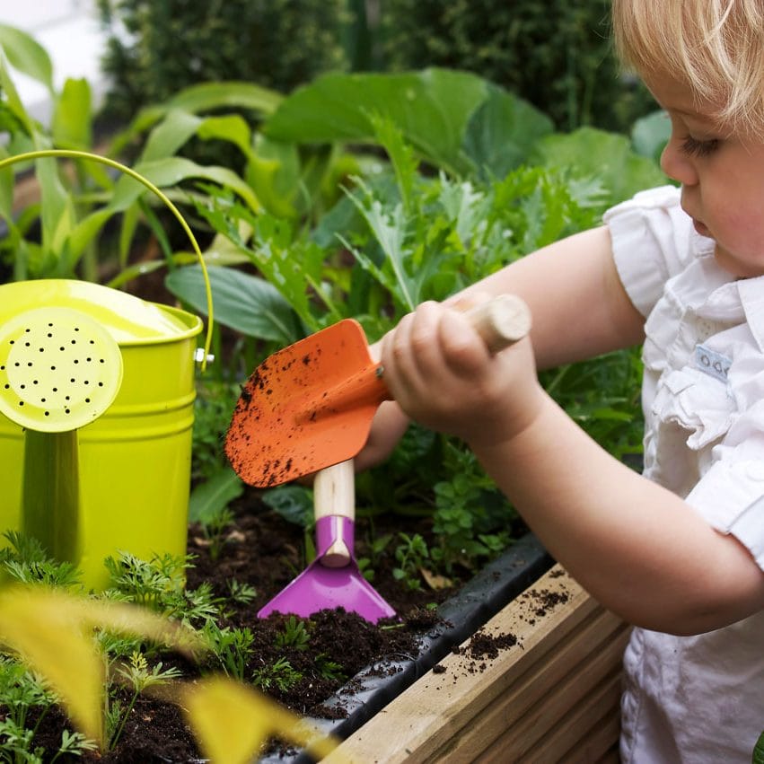 iStock-103953735 Gardening