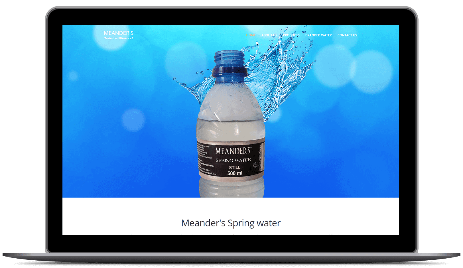 Web Design for Meanders Spring Water