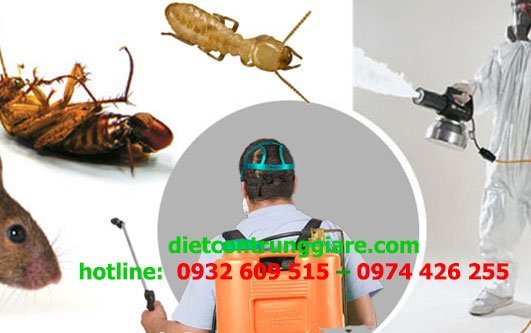 Tại sao cần kiểm soát dịch hại?