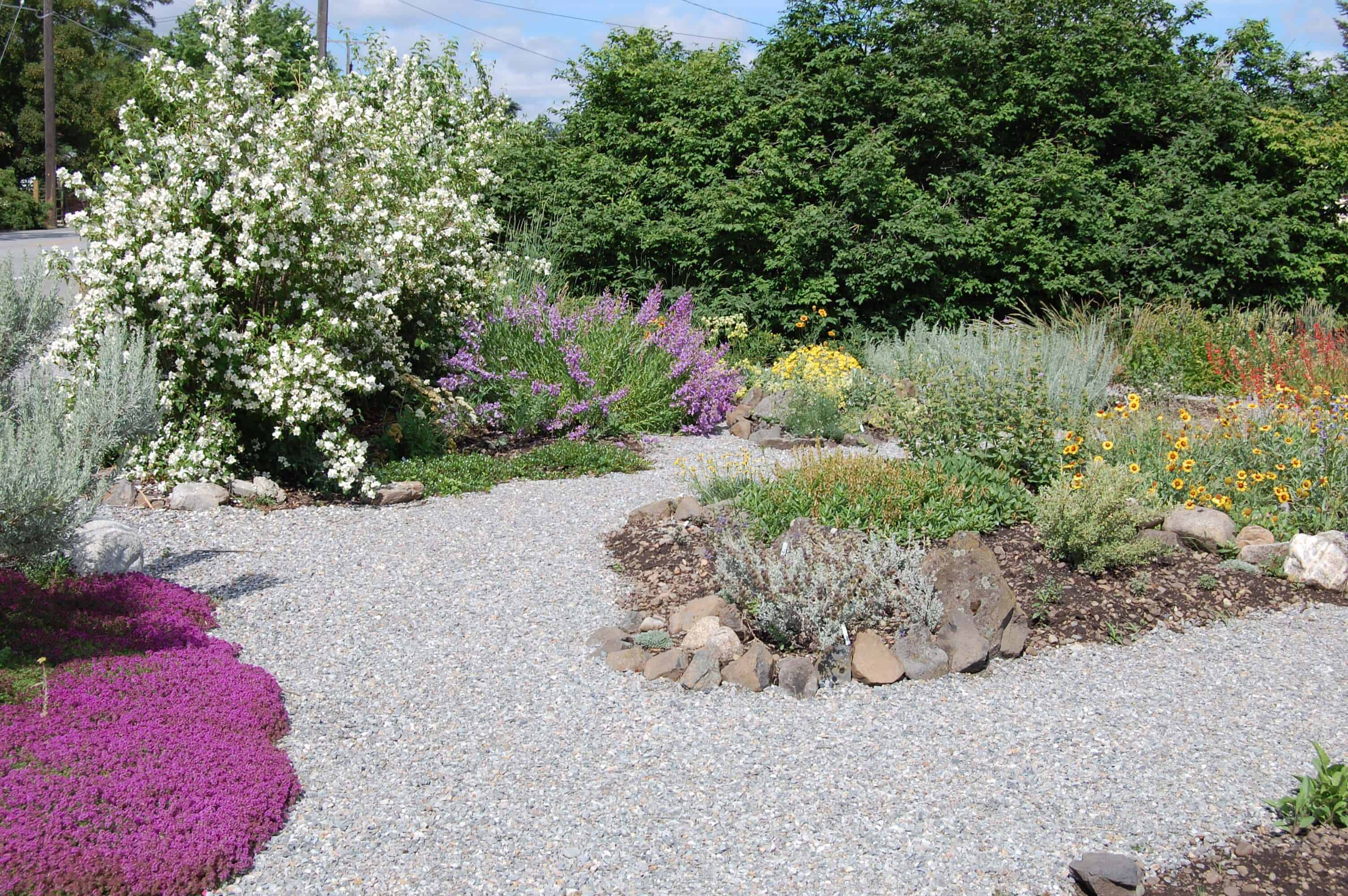 Desert Jewels in Spokane, WA