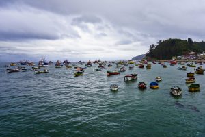 Caleta Tumbes, Chile