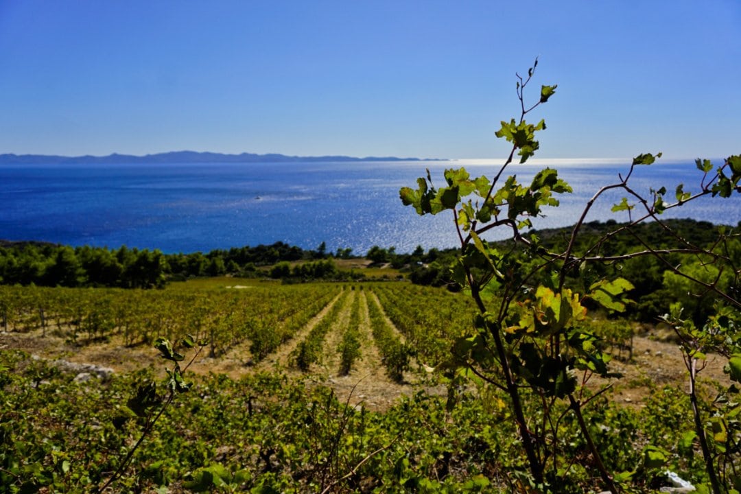 Dingac, Croatia – Experiencing the Globe