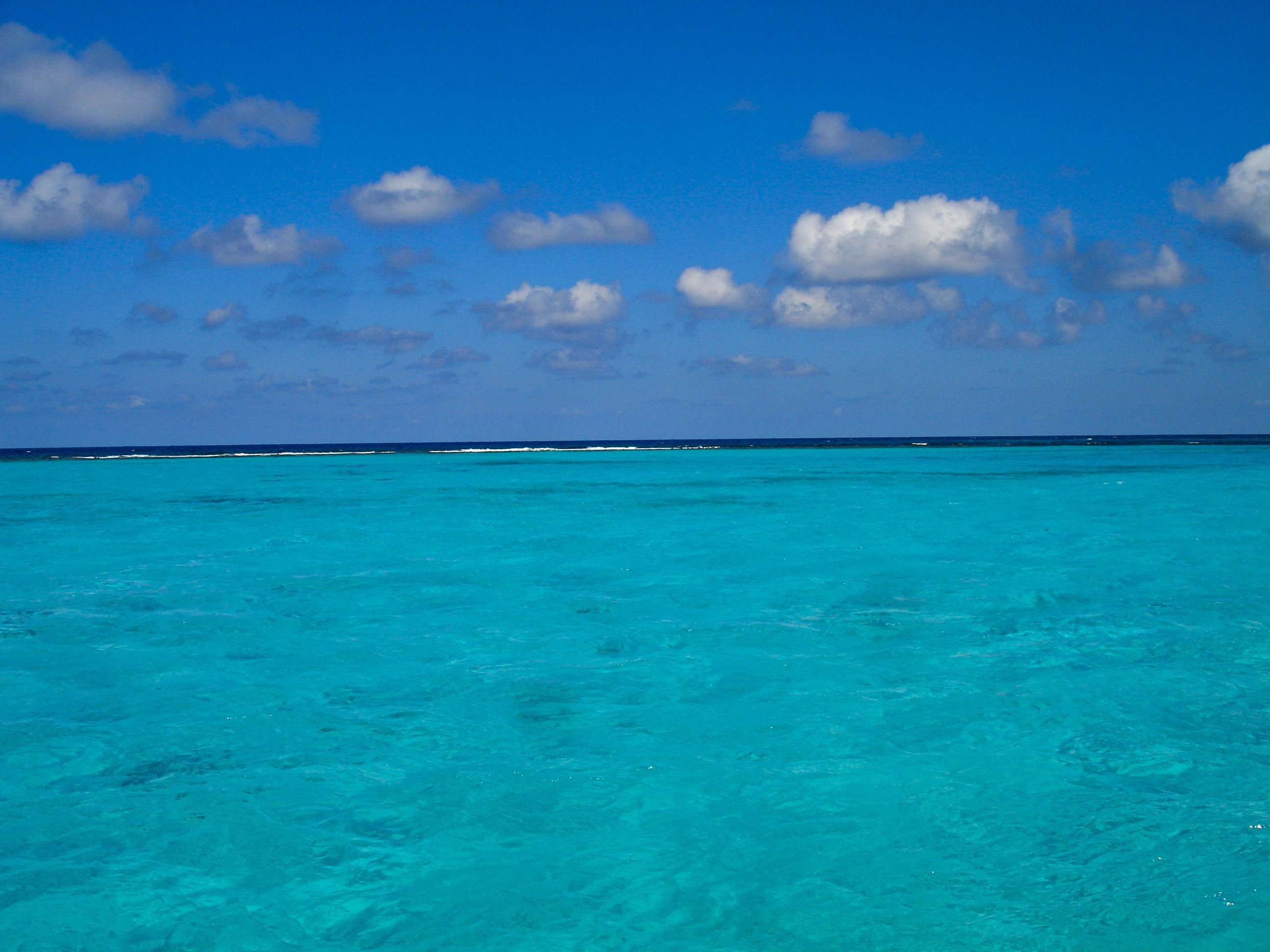 Stingray City, Cayman Islands - Experiencing the Globe